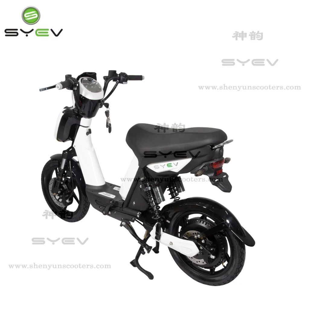 Wuxi Shenyun with E-MARK EEC/Coc Certificate Two Wheels Electric Bike with Pedal Assistance Electric Scooter for Adults Sy-Lxqs-3s